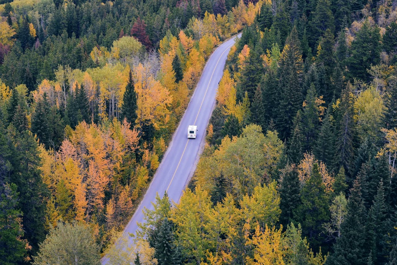 A campervan travels on a winding road through vibrant autumn forest scenery.